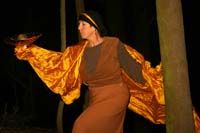 Woman dancer with an
orange shawl