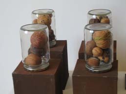 Sculpture of dried oranges under bell jars