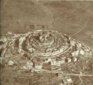 Aerial view of castle ruins