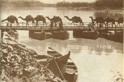 A line of camels crossing a floating bridge