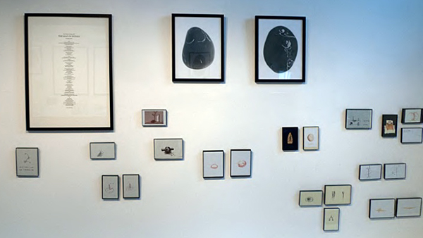 Wall of pictures