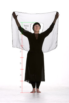 Mardi Van Winkle, Proportional Diagram, Tarantella Tarantula