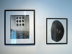 View of the Old as New Exhibit