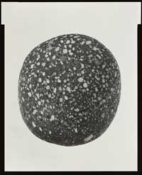Dennis Letbetter Photograph of
